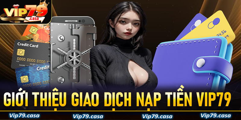 Giới thiệu chung về hệ thống nạp tiền Vip79